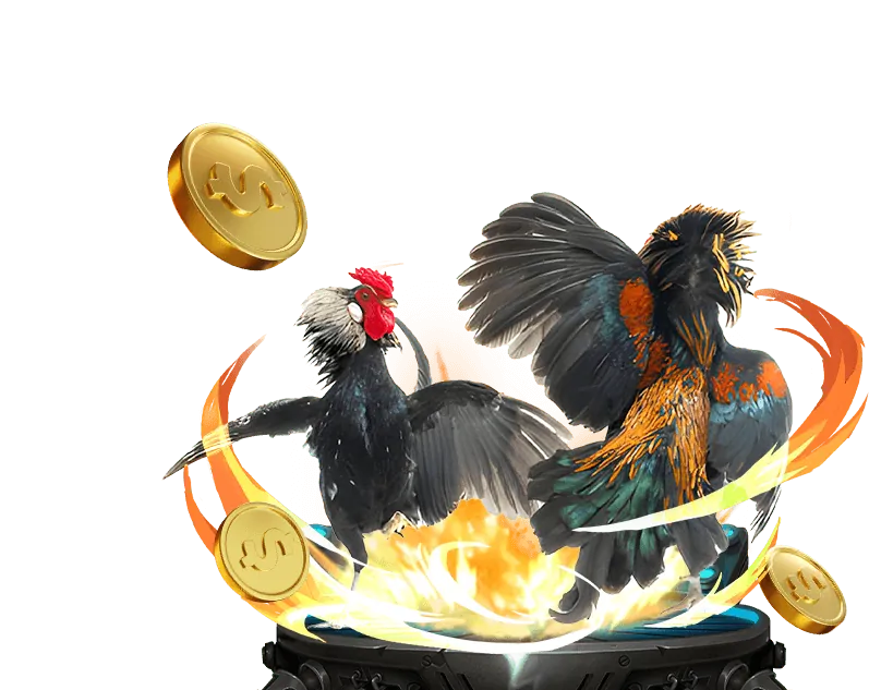 Giải đấu và sự kiện